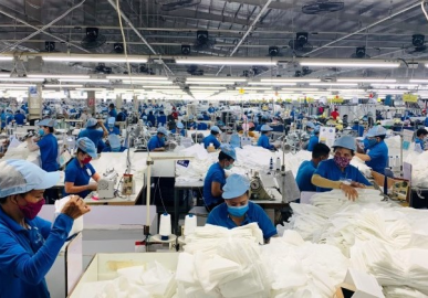 Tình hình xuất khẩu dệt may Việt Nam 2025 – Cơ hội & thách thức